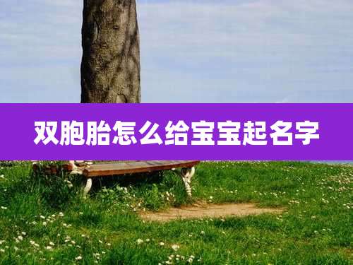 双胞胎怎么给宝宝起名字
