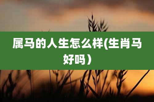 属马的人生怎么样(生肖马好吗）