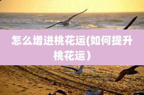 怎么增进桃花运(如何提升桃花运)