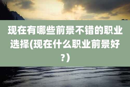 现在有哪些前景不错的职业选择(现在什么职业前景好?）