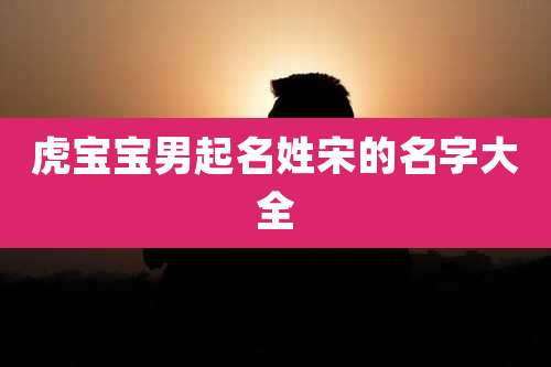 虎宝宝男起名姓宋的名字大全