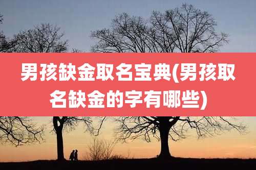 男孩缺金取名宝典(男孩取名缺金的字有哪些)