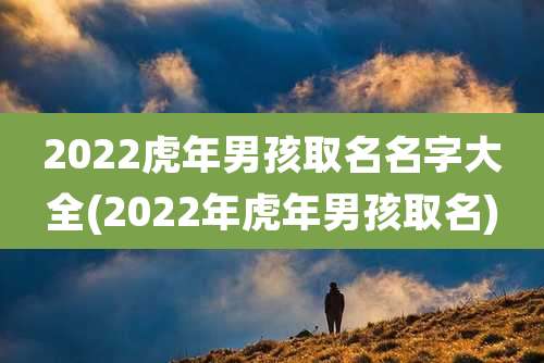 2022虎年男孩取名名字大全(2022年虎年男孩取名)