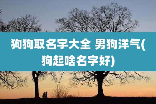 狗狗取名字大全 男狗洋气(狗起啥名字好)
