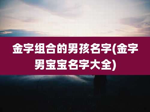 金字组合的男孩名字(金字男宝宝名字大全)