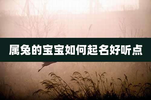 属兔的宝宝如何起名好听点