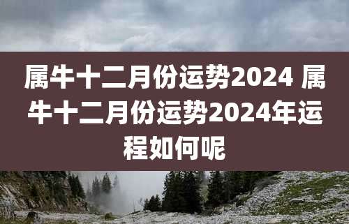 属牛十二月份运势2024 属牛十二月份运势2024年运程如何呢