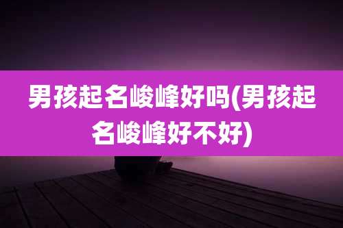 男孩起名峻峰好吗(男孩起名峻峰好不好)