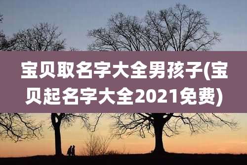 宝贝取名字大全男孩子(宝贝起名字大全2021免费)