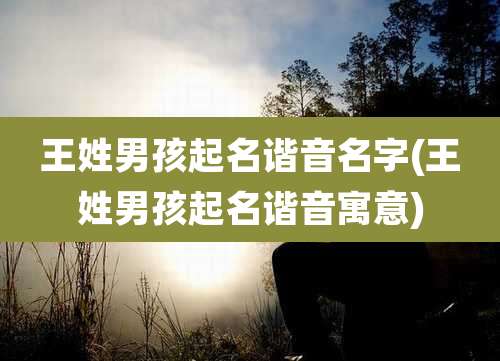 王姓男孩起名谐音名字(王姓男孩起名谐音寓意)