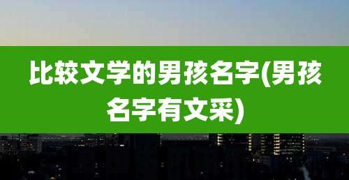 比较文学的男孩名字(男孩名字有文采)