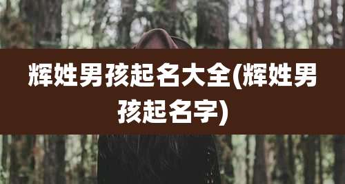 辉姓男孩起名大全(辉姓男孩起名字)