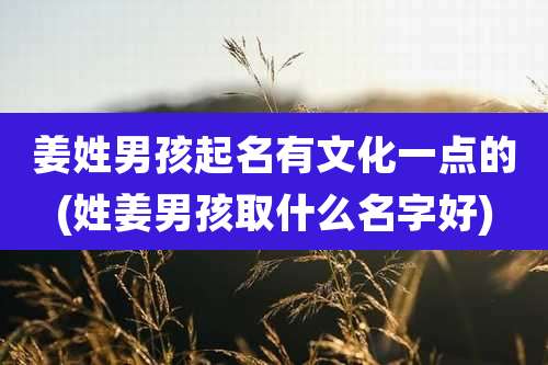 姜姓男孩起名有文化一点的(姓姜男孩取什么名字好)