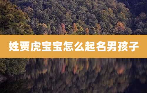 姓贾虎宝宝怎么起名男孩子