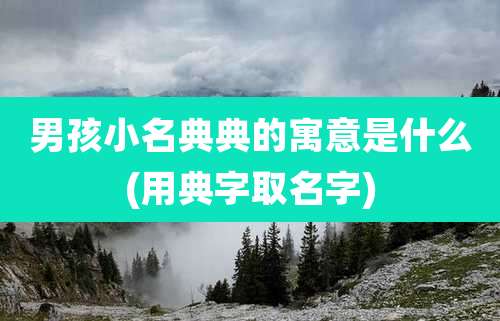 男孩小名典典的寓意是什么(用典字取名字)