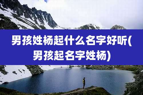 男孩姓杨起什么名字好听(男孩起名字姓杨)