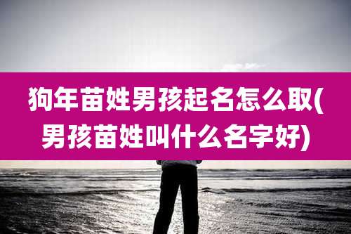 狗年苗姓男孩起名怎么取(男孩苗姓叫什么名字好)