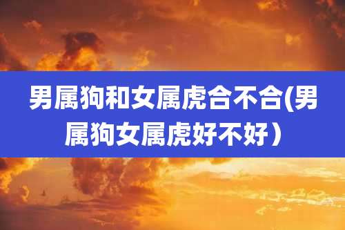 男属狗和女属虎合不合(男属狗女属虎好不好)