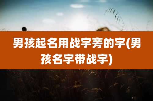 男孩起名用战字旁的字(男孩名字带战字)