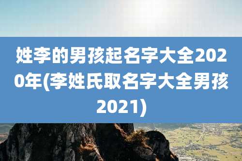 姓李的男孩起名字大全2020年(李姓氏取名字大全男孩2021)