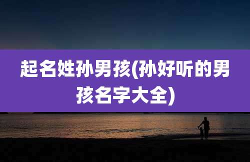 起名姓孙男孩(孙好听的男孩名字大全)