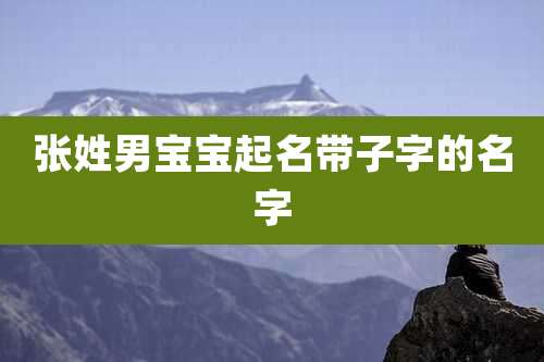 张姓男宝宝起名带子字的名字