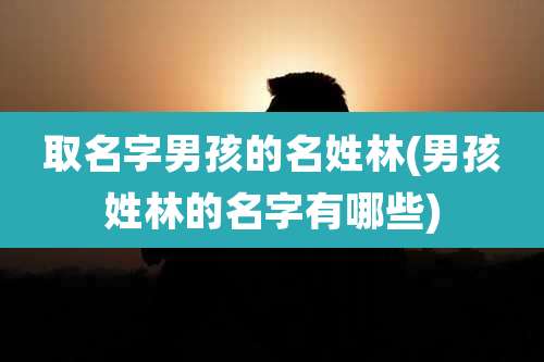 取名字男孩的名姓林(男孩姓林的名字有哪些)