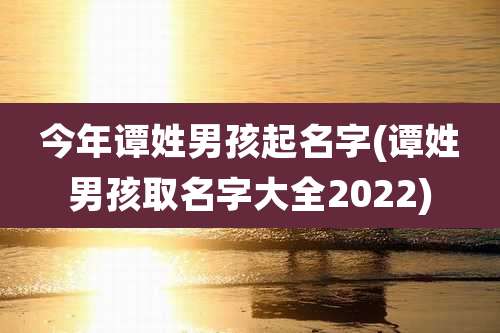 今年谭姓男孩起名字(谭姓男孩取名字大全2022)