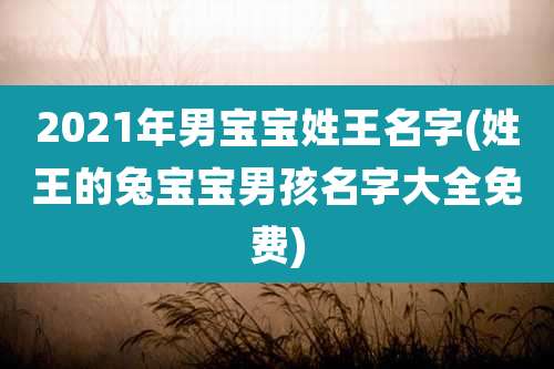 2021年男宝宝姓王名字(姓王的兔宝宝男孩名字大全免费)