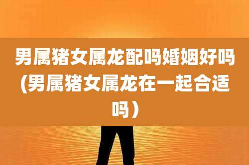 男属猪女属龙配吗婚姻好吗(男属猪女属龙在一起合适吗）