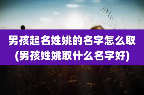 男孩起名姓姚的名字怎么取(男孩姓姚取什么名字好)