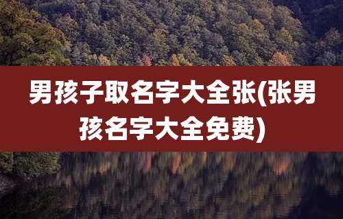 男孩子取名字大全张(张男孩名字大全免费)