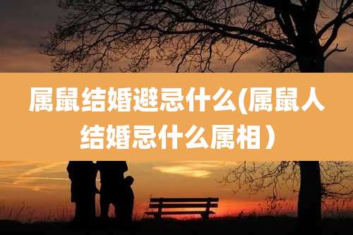 属鼠结婚避忌什么(属鼠人结婚忌什么属相)