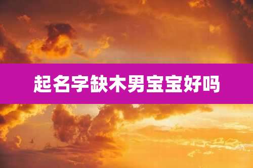 起名字缺木男宝宝好吗