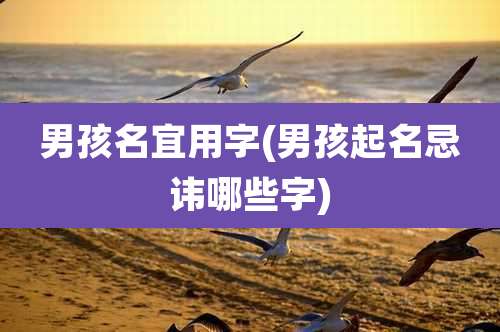 男孩名宜用字(男孩起名忌讳哪些字)