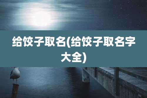 给饺子取名(给饺子取名字大全)