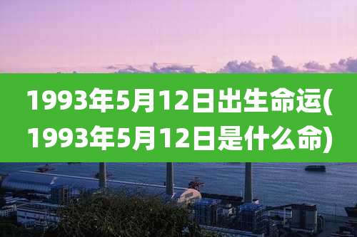1993年5月12日出生命运(1993年5月12日是什么命)