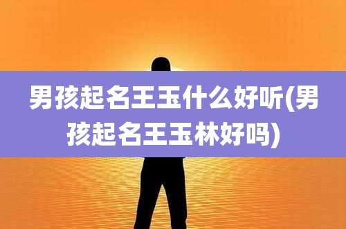 男孩起名王玉什么好听(男孩起名王玉林好吗)