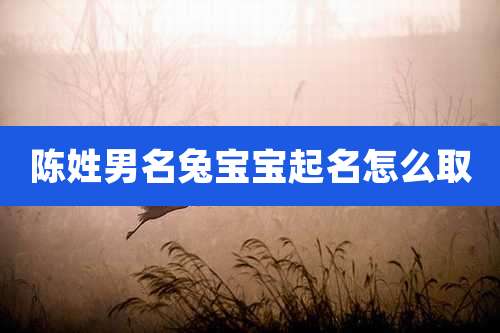 陈姓男名兔宝宝起名怎么取