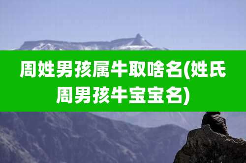 周姓男孩属牛取啥名(姓氏周男孩牛宝宝名)