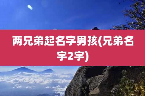 两兄弟起名字男孩(兄弟名字2字)