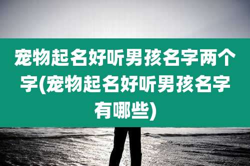 宠物起名好听男孩名字两个字(宠物起名好听男孩名字有哪些)