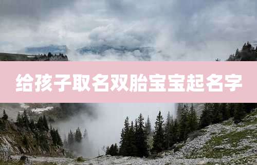 给孩子取名双胎宝宝起名字