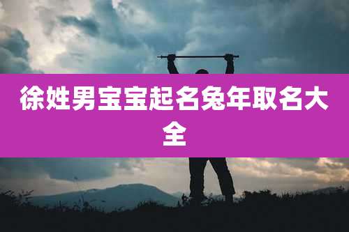 徐姓男宝宝起名兔年取名大全