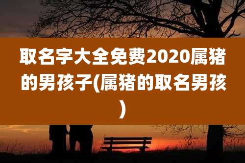 取名字大全免费2020属猪的男孩子(属猪的取名男孩)