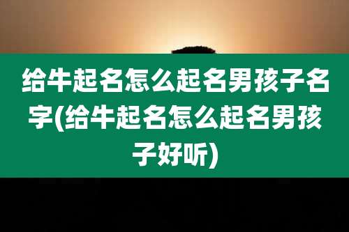 给牛起名怎么起名男孩子名字(给牛起名怎么起名男孩子好听)