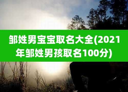 邹姓男宝宝取名大全(2021年邹姓男孩取名100分)