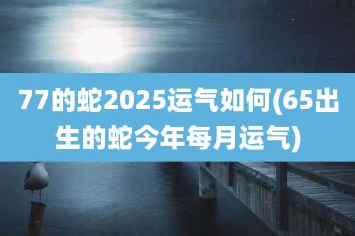 77的蛇2025运气如何(65出生的蛇今年每月运气)