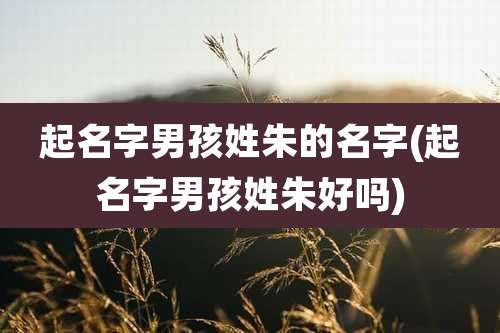 起名字男孩姓朱的名字(起名字男孩姓朱好吗)