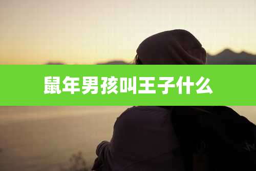 鼠年男孩叫王子什么